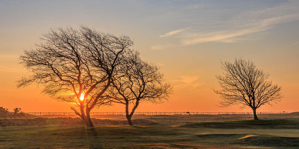 Soft Morning Sun - Tim Garrett-Moore