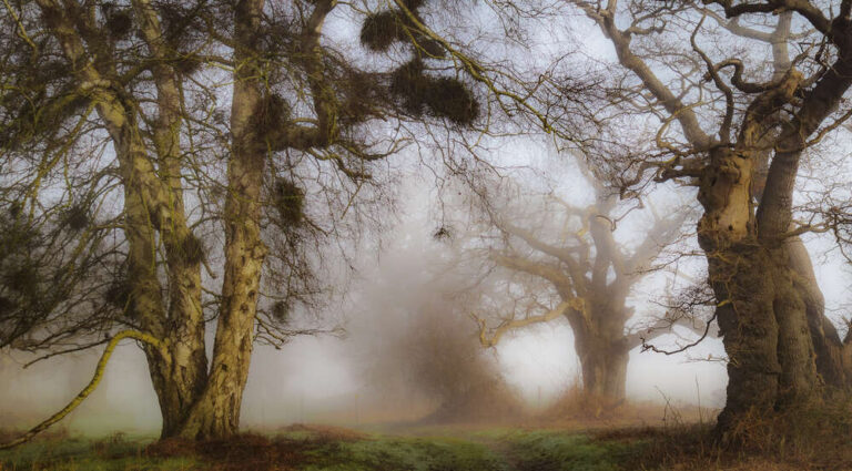 Striking A Pose - Richard Coleman