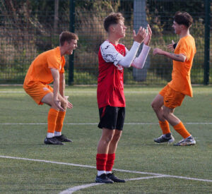 Delight And Despair - Paul Voller